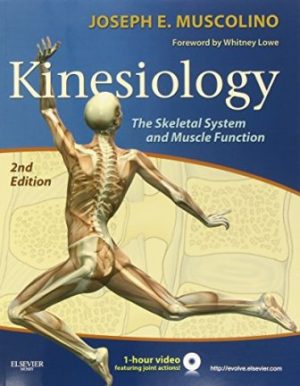 Kinesiology 2nd Edition Muscolino TEST BANK