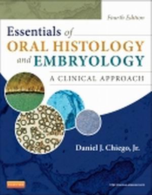 Essentials of Oral Histology and Embryology 4th Edition Chiego TEST BANK