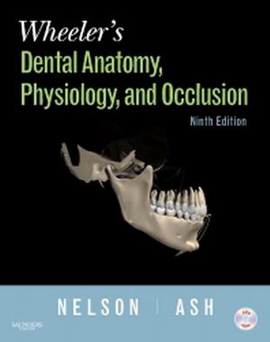 Dental Anatomy Physiology and Occlusion 9th Edition Nelson TEST BANK